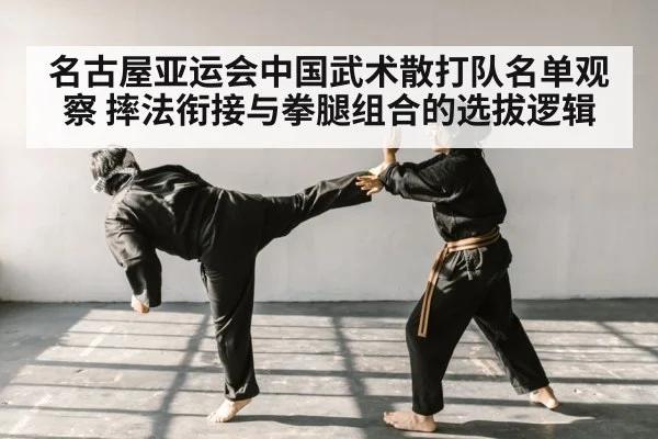 chinese martial arts sparring
